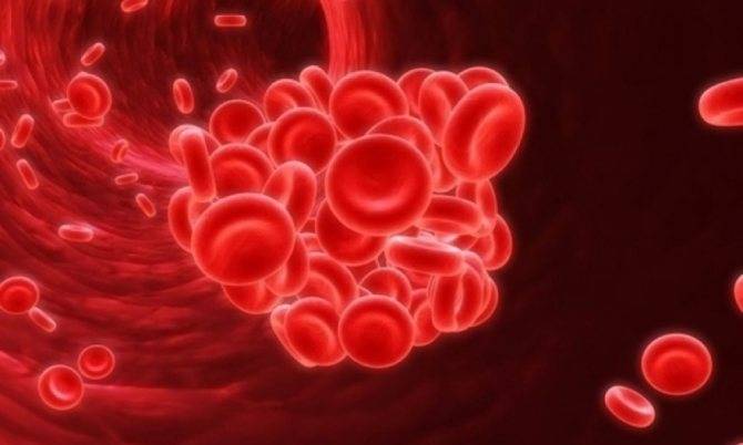 Гематокрит понижен при беременности: причины, нормы в разных триместрах