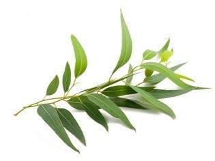 Чем лечить ангину у ребенка в домашних условиях: быстро и без антибиотиков в возрасте от 2 лет