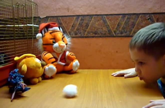 Заикание у детей: причины и лечение в 3-4 года в домашних условиях (Комаровский)