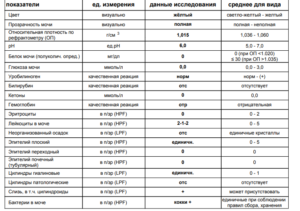 Эпителий плоский в моче при беременности: норма, причины отклонения