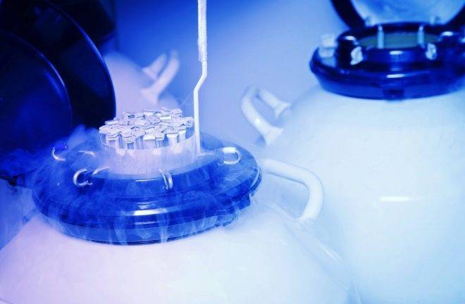 Тест на беременность после переноса эмбриона: на какой день он покажет две полоски?