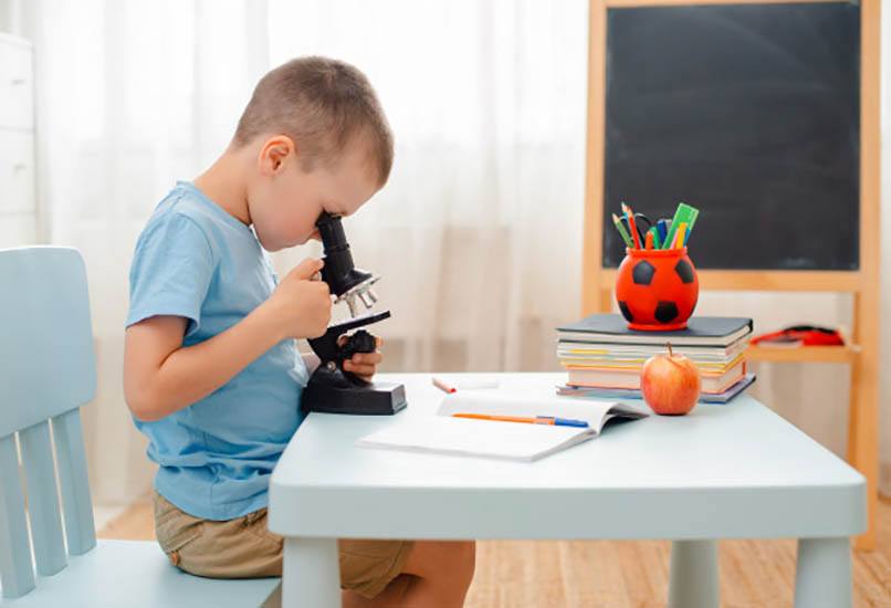 Подарок мальчику на 6 лет: что можно подарить ребенку на день рождения, чтобы он был рад?