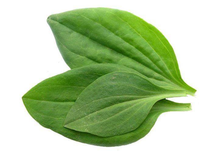 Причины хронического и рецидивирующего бронхита у детей, симптомы болезни и методы лечения