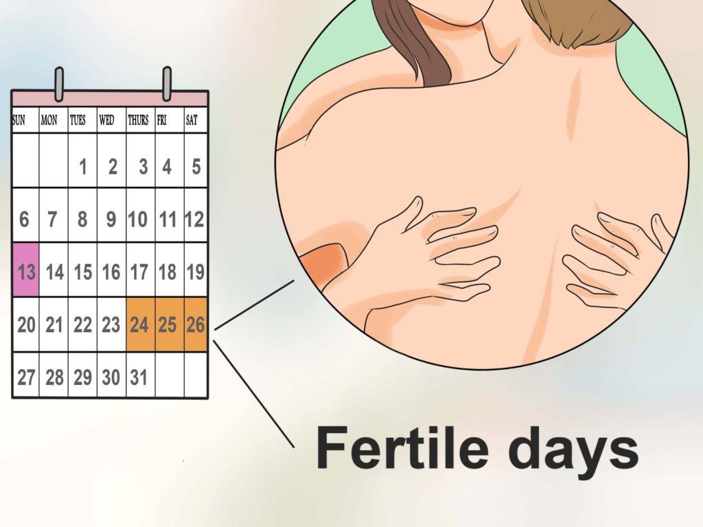 Тест показывает 1 полоску, а месячных нет: причины и лечение, если отсутствует беременность