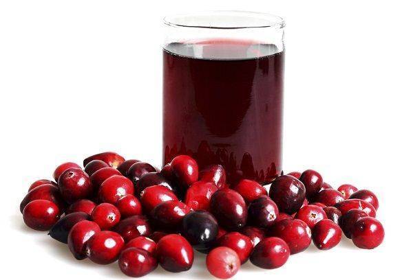 Клюква при грудном вскармливании и клюквенный морс: можно ли кормящей маме?