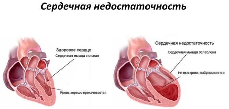 Повышена щелочная фосфатаза в крови у ребенка: что это значит и каковы нормы показателя