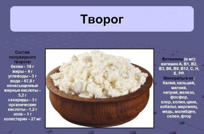 Творог при грудном вскармливании и сметана: можно ли творожную запеканку?