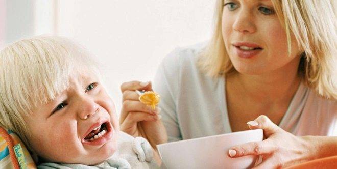 Ребенок не ест мясо и рыбу: что делать и как приучить (мнение Комаровского)