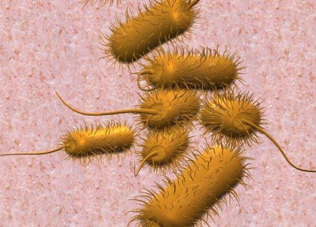 Прожилки крови в кале у грудничка на грудном вскармливании (Комаровский)