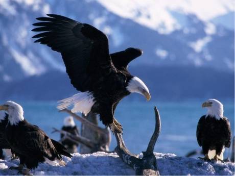 Как воспитать ребенка лидером и развить в нем лидерские качества?