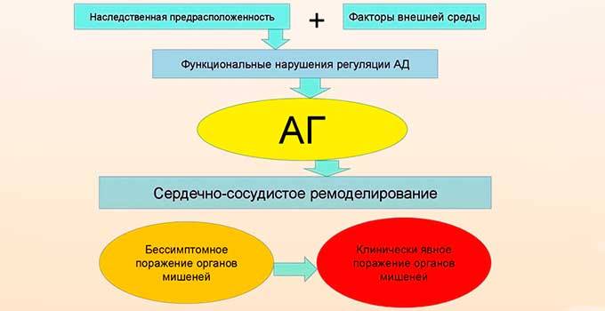 Давление перед родами: почему повышается или понижается АД, что делать?
