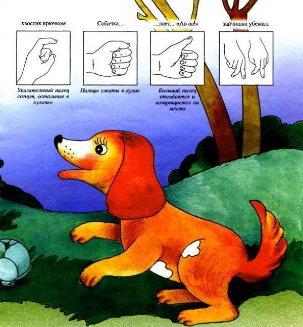 Логопедические упражнения для детей 5-6 лет дома: занятия, игры для развития речи