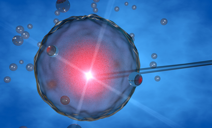 ЭКО с донорским эмбрионом: как проходит процедура, какова ее результативность?