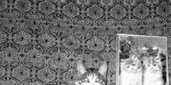 Жаропонижающие средства для детей при высокой температуре: новорожденным и от 3 лет