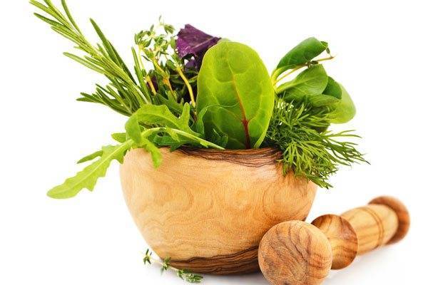 Герпес у детей: виды вируса, симптомы заболеваний, лечение и профилактика