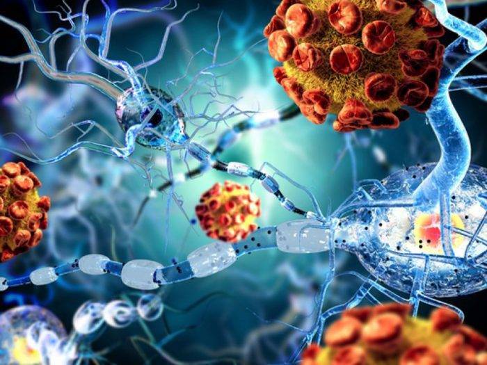 Сыпь в паху у ребенка - раздражение в интимной зоне, покраснение и зуд на половых органах