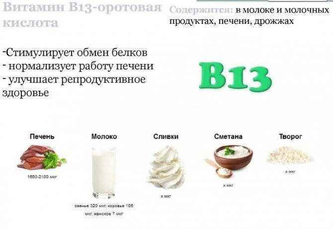 Творог при грудном вскармливании и сметана: можно ли творожную запеканку?