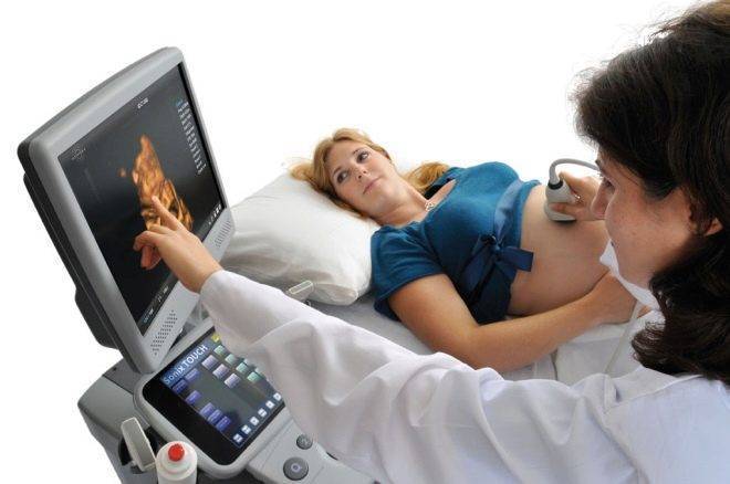 Когда формируется плацента при беременности: сроки и особенности процесса