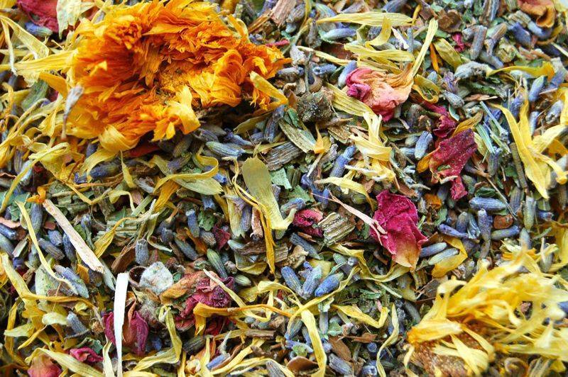 В каких травах купать новорожденного: хвойный экстракт, лавровый лист, чистотел