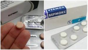 Обзор лекарств от остриц для детей и взрослых: список эффективных таблеток и суспензий