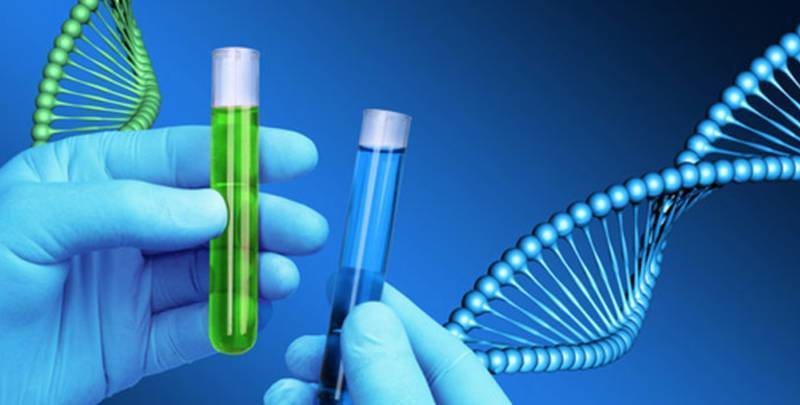 Определение пола плода по крови матери: как узнать половую принадлежность ребенка по тесту ДНК?