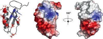 Кровь в моче у ребенка - что это значит и почему появляются ее следы и сгустки в урине?