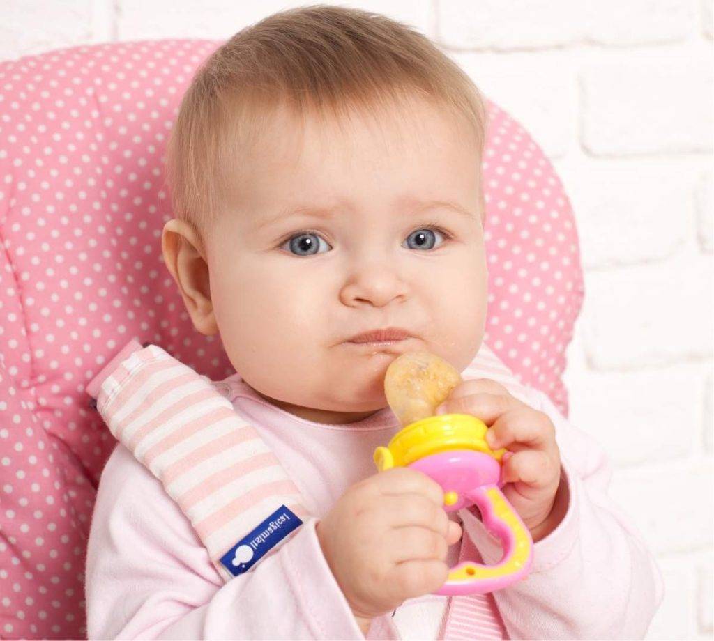 Ниблер для прикорма: силиконовый или сеточкой (фото) - какой лучше для кормления?