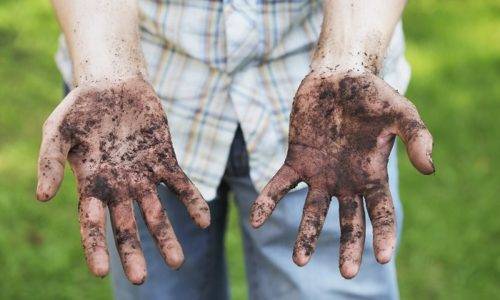 Как правильно подготовиться и сдать анализ крови и кала на лямблии у ребенка?