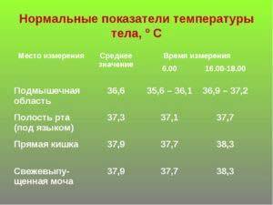 Температура у ребенка (грудничка) 38-39: что делать, как помочь новорожденному?