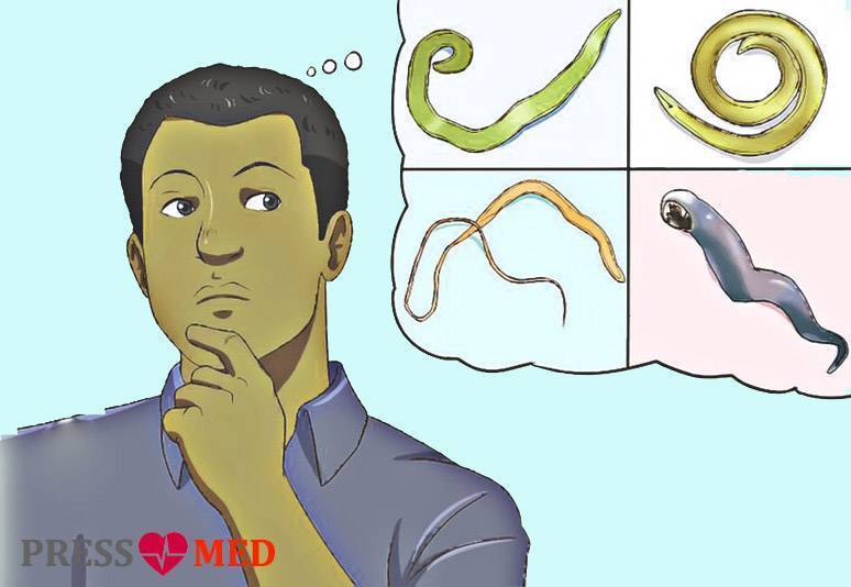 Глисты у детей: симптомы и лечение гельминтоза - как понять, есть ли паразиты в организме?