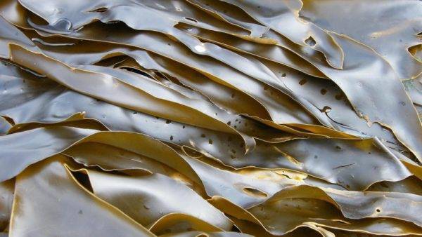 Пролактин и прогестерон: связь этих гормонов, причины их повышения и понижения