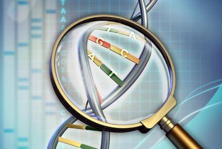 Определение пола плода по крови матери: как узнать половую принадлежность ребенка по тесту ДНК?