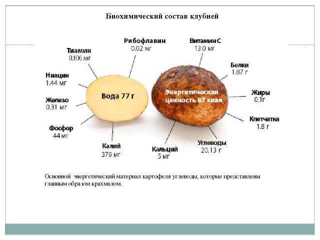 Картошка при грудном вскармливании: можно ли кормящей маме жареный картофель, пюре?