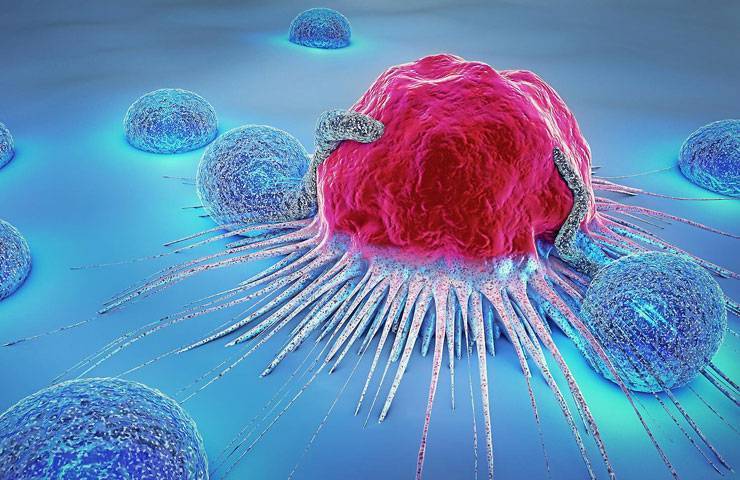 Почему болит низ живота как при месячных, но их нет, в каких случаях стоит волноваться?