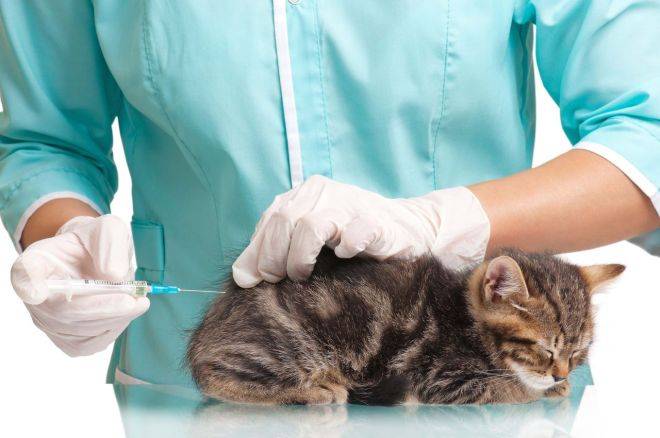 “Цефтриаксон”: инструкция по применению уколов для детей с расчетом дозировки