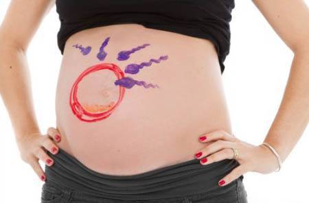 Можно ли забеременеть с одним яичником: какова вероятность зачать и родить?