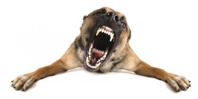 Испуг у ребенка: признаки, как лечить, как снять испуг маме самостоятельно дома?