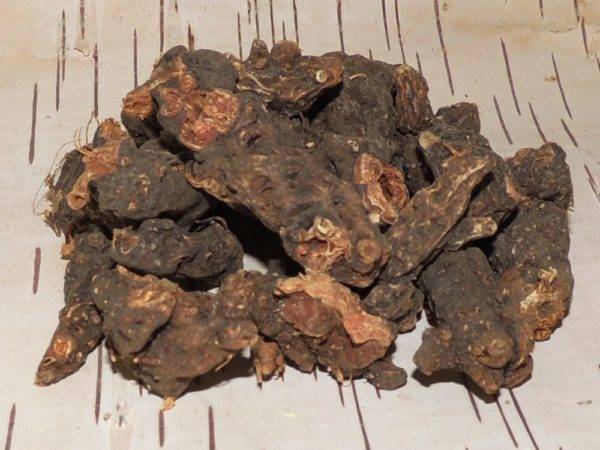 Пролактин и прогестерон: связь этих гормонов, причины их повышения и понижения