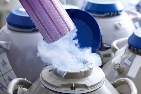 ЭКО с донорским эмбрионом: как проходит процедура, какова ее результативность?