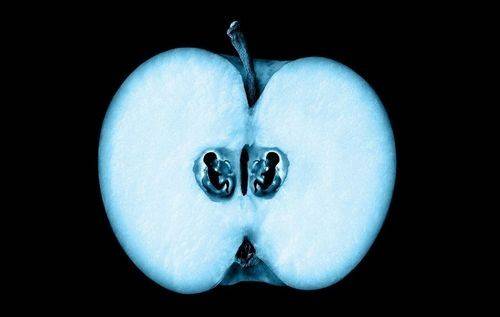 Хетчинг эмбрионов: что это такое, для чего проводится, возможны ли осложнения?