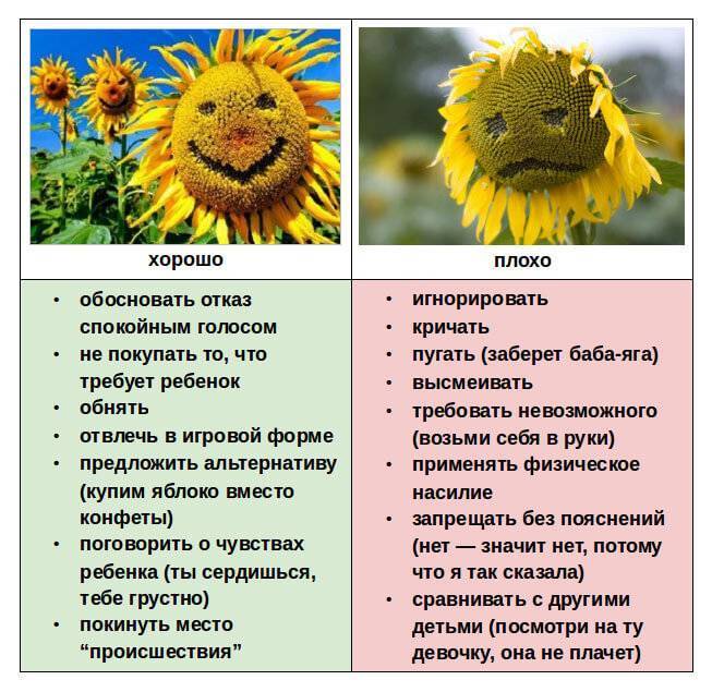 Что должен уметь ребенок в 2 года: развитие и занятия в домашних условиях