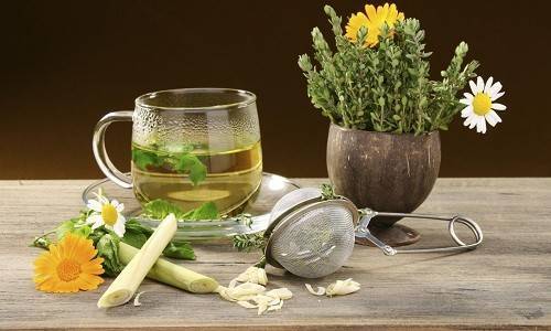 Успокоительное для кормящих мам: Глицин при грудном вскармливании, Пустырник