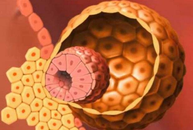 Как вести себя после криопереноса 5-дневных эмбрионов, какими будут ощущения?