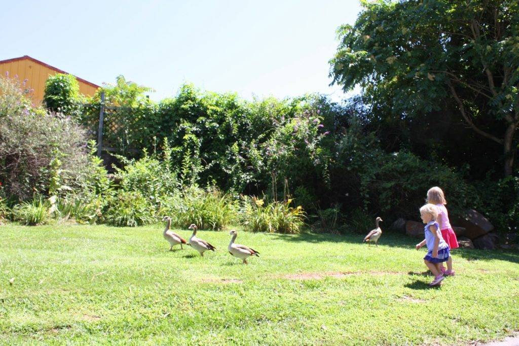 Занятия для детей 4-5 лет: интересные развивающие игры и упражнения