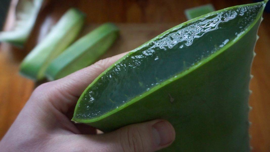 Ожог у ребенка: лечение термических повреждений разной степени и первая помощь в домашних условиях