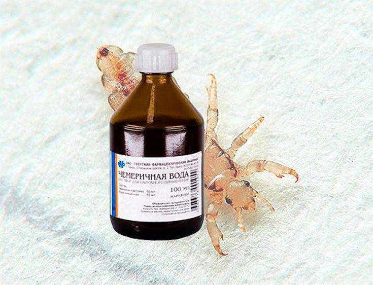 Средство от вшей и гнид для детей за один день: шампуни и лучшие препараты от педикулеза