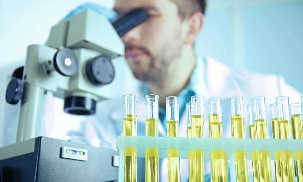 Появление следов лейкоцитарной эстеразы в моче у ребенка – что это значит?