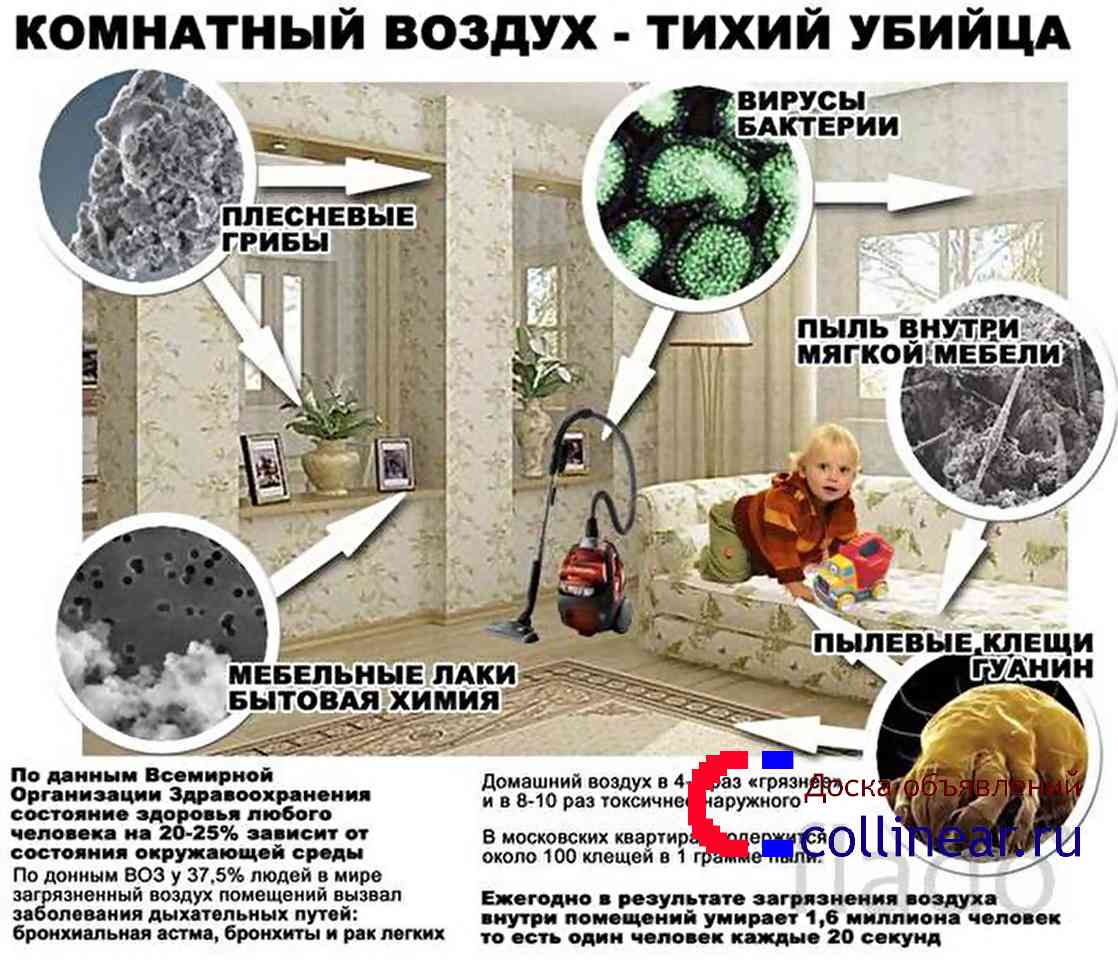 У ребенка аллергия на цветение и пыльцу растений: симптомы и лечение