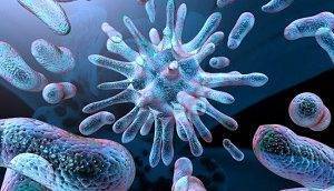 Воспаление мезентериальных лимфоузлов в брюшной полости у детей: причины лимфаденита