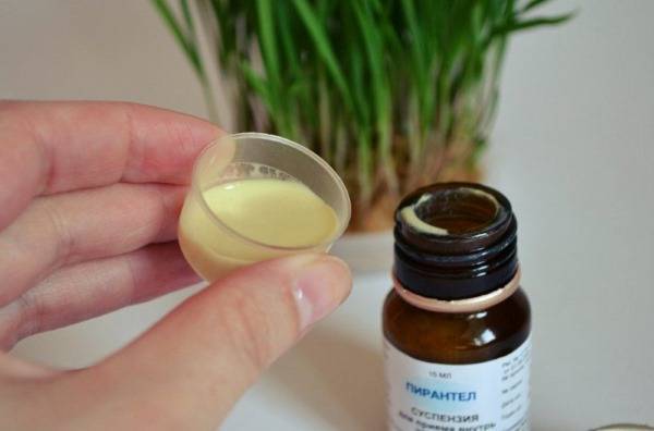 Пирантел суспензия: инструкция по применению для детей, дозировка, аналоги